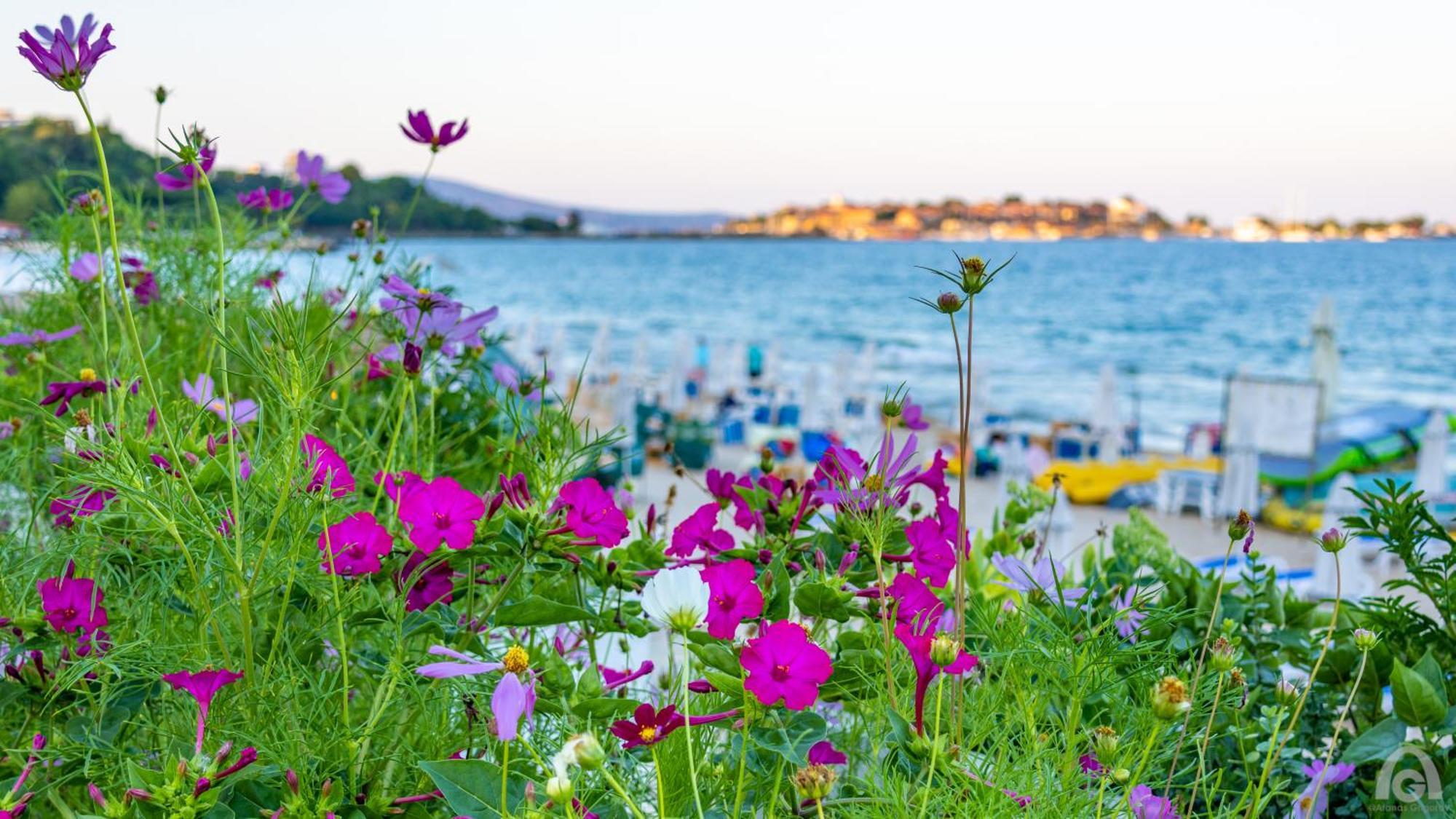 Perla Apartments Misivri Dış mekan fotoğraf
